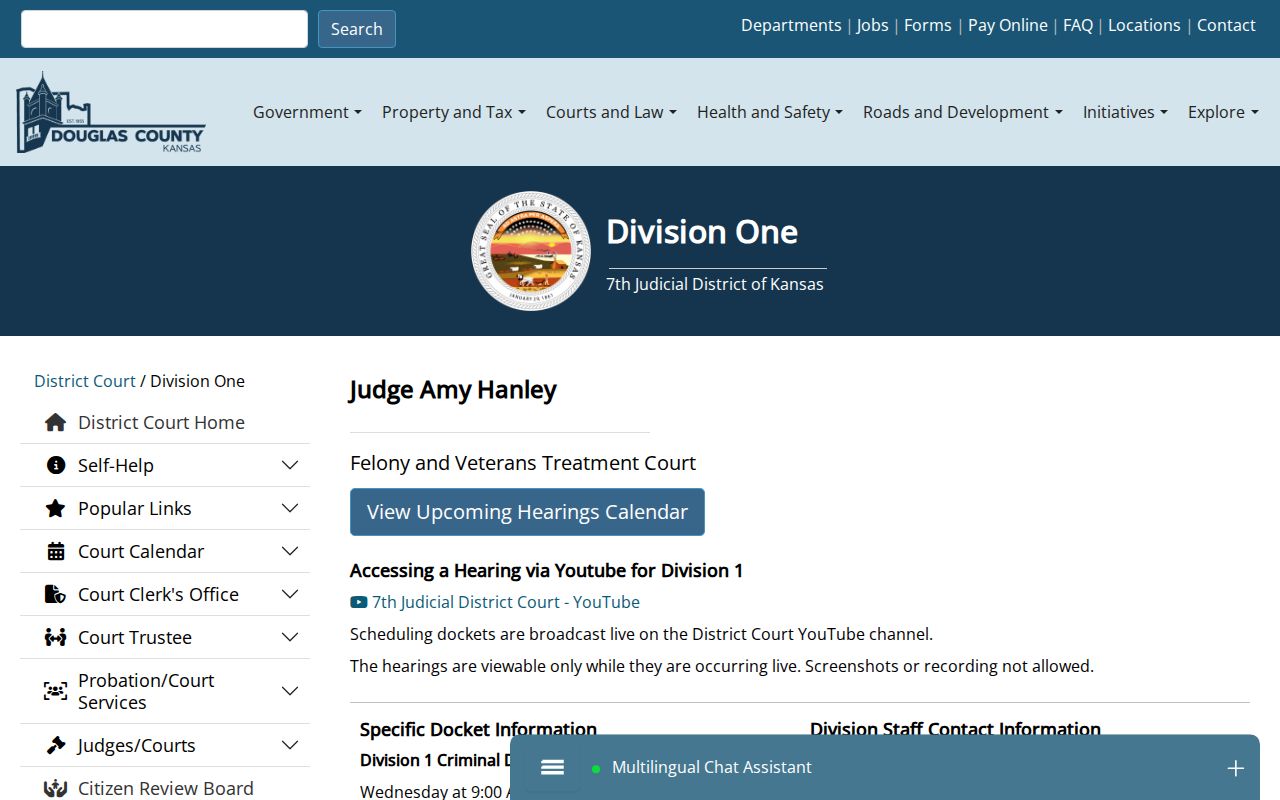 Douglas County criminal docket Division 1 felony information