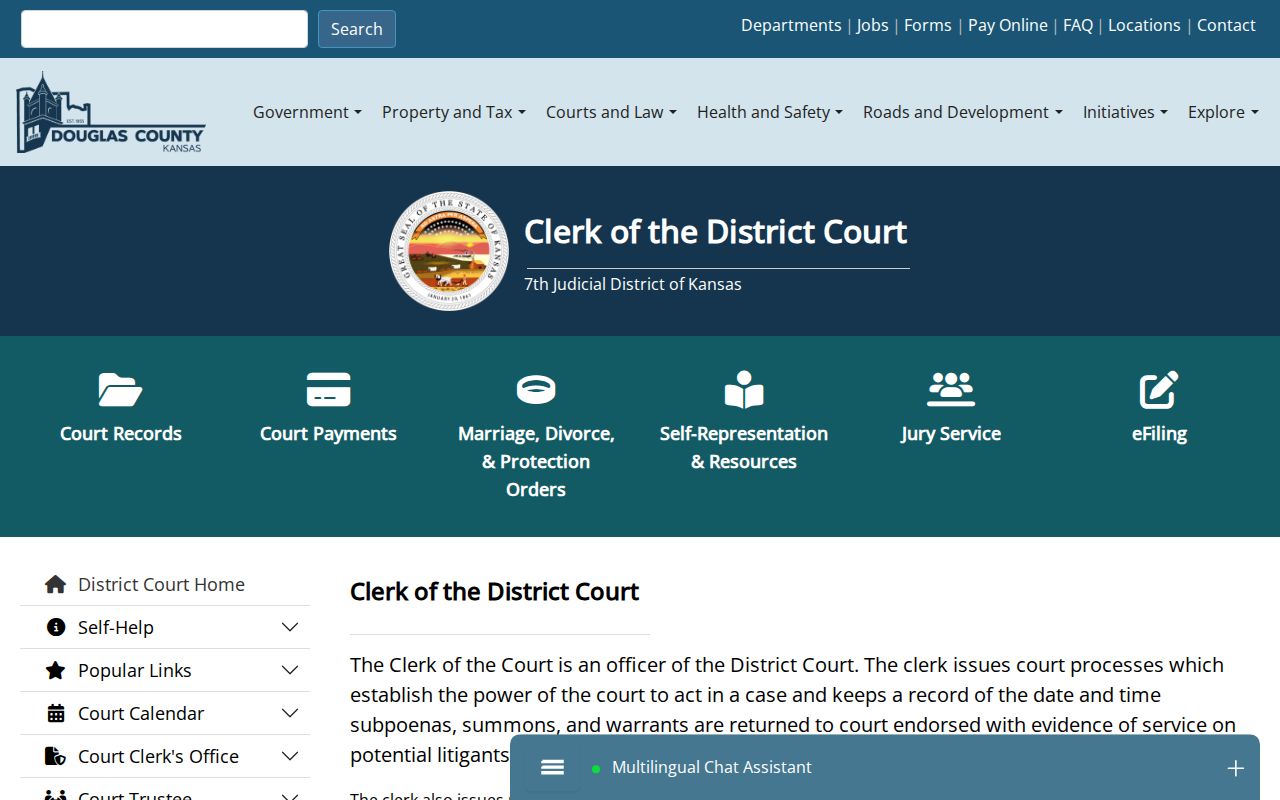 Douglas County court docket Clerk of the District Court