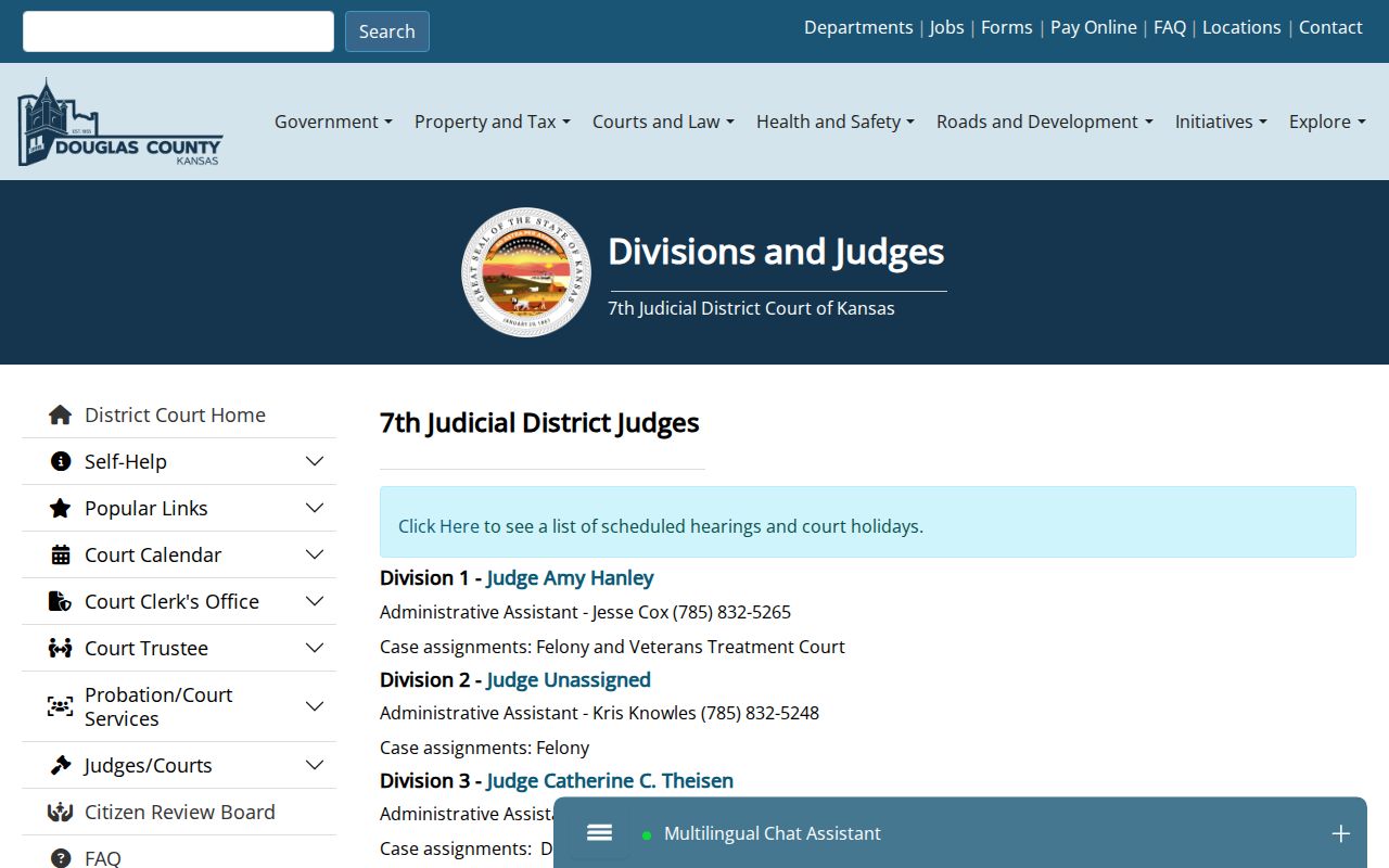 Douglas County court docket divisions and judges